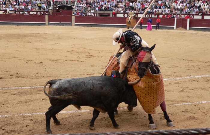 picador stanger tyr