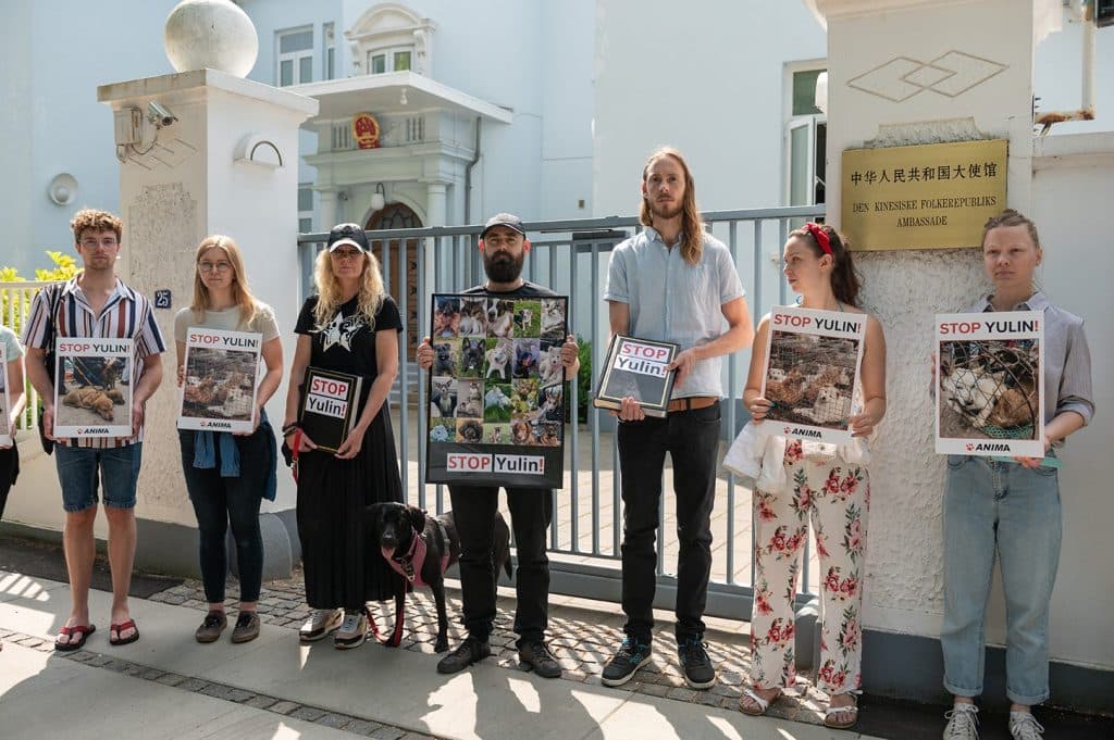 Anima protesterer mod Yulin foran den kinesiske ambassade